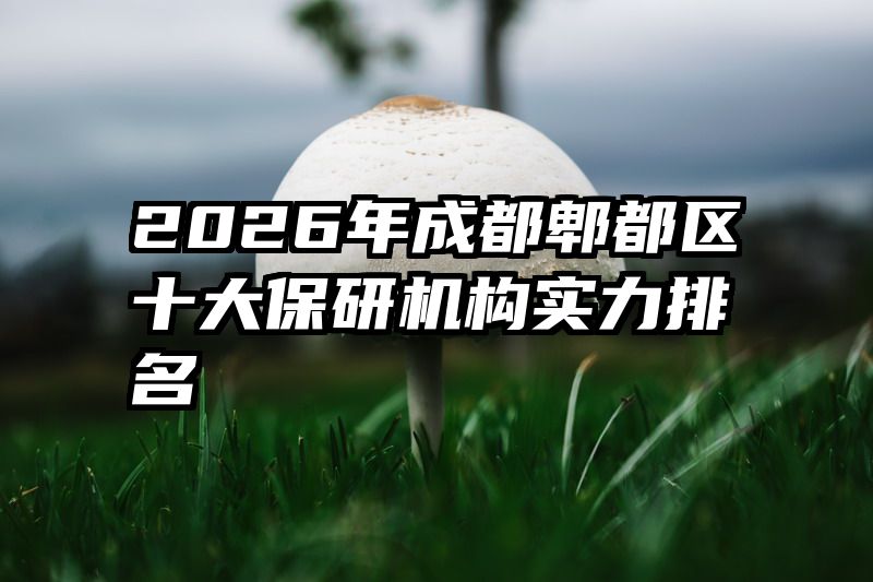 2026年成都郫都区十大保研机构实力排名