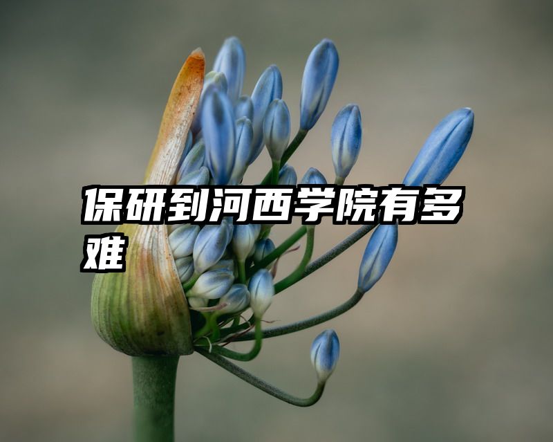保研到河西学院有多难
