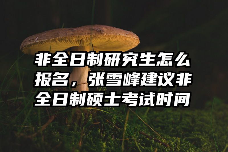 非全日制研究生怎么报名，张雪峰建议非全日制硕士考试时间
