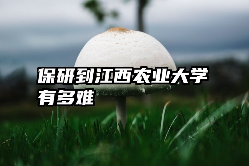 保研到江西农业大学有多难