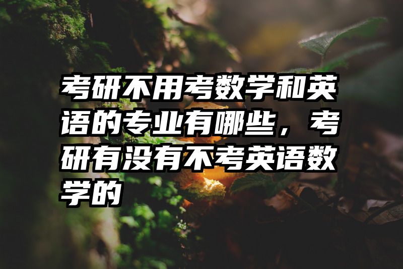 考研不用考数学和英语的专业有哪些,考研有没有不考英语数学的