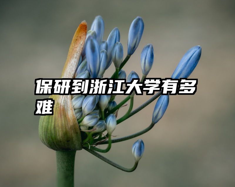 保研到浙江大学有多难