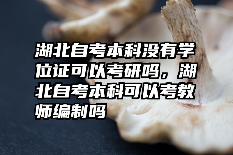 湖北自考本科没有学位证可以考研吗,湖北自考本科可以考教师编制吗
