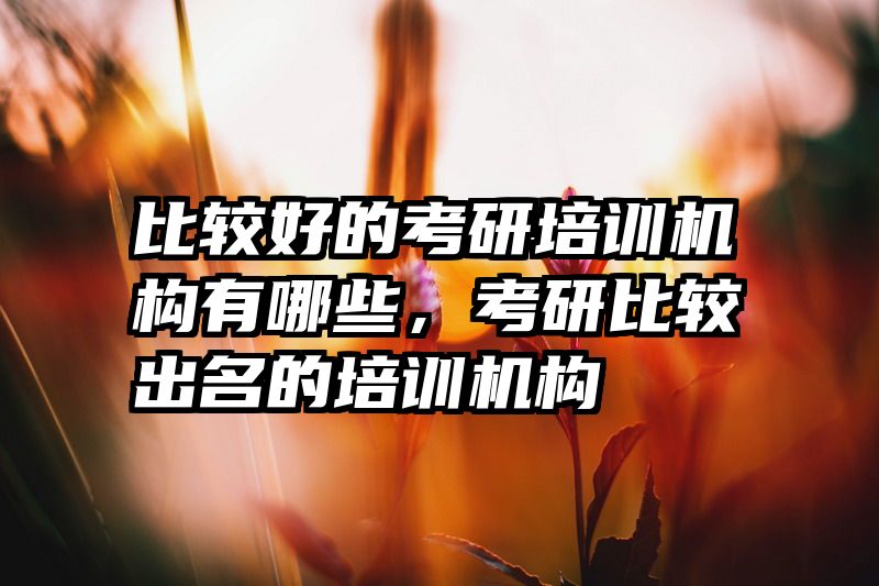 比较好的考研培训机构有哪些，考研比较出名的培训机构