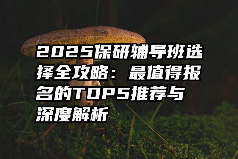 2025保研辅导班选择全攻略:最值得报名的TOP5推荐与深度解析