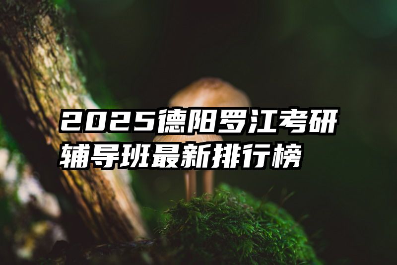 2025德阳罗江考研辅导班最新排行榜