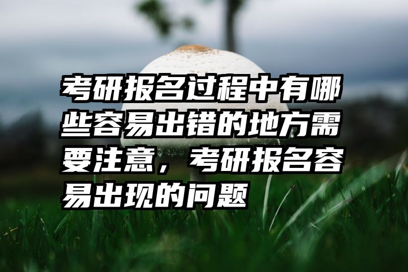 考研报名过程中有哪些容易出错的地方需要注意,考研报名容易出现的问题