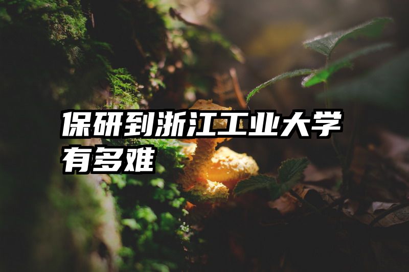 保研到浙江工业大学有多难