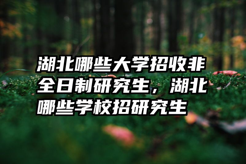湖北哪些大学招收非全日制研究生，湖北哪些学校招研究生