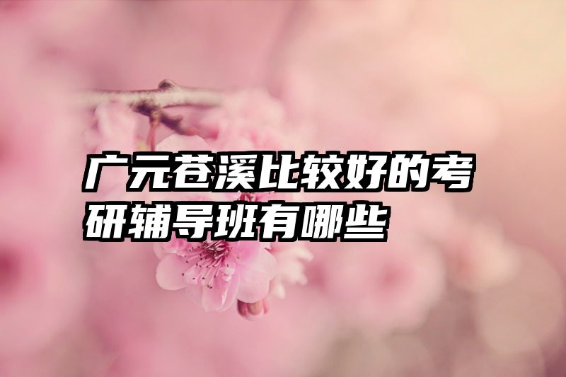 广元苍溪比较好的考研辅导班有哪些