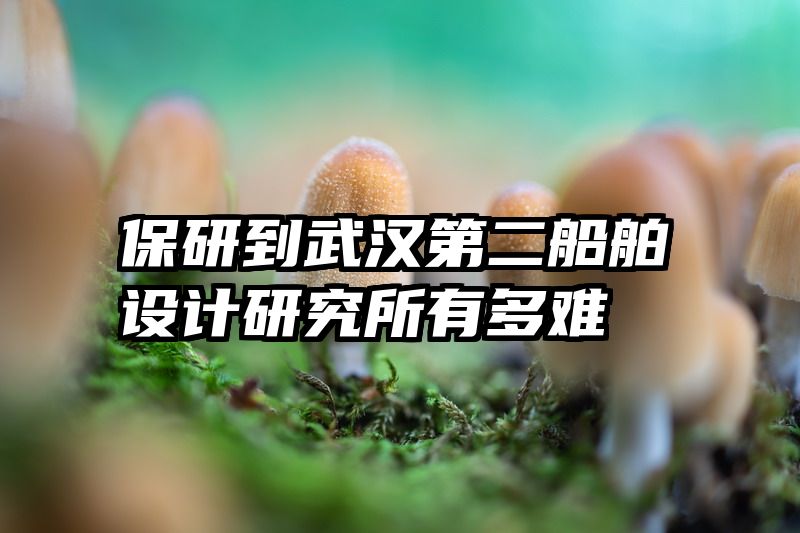 保研到武汉第二船舶设计研究所有多难