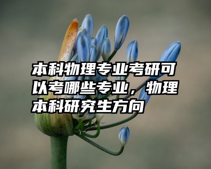本科物理专业考研可以考哪些专业，物理本科研究生方向
