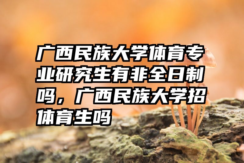 广西民族大学体育专业研究生有非全日制吗，广西民族大学招体育生吗