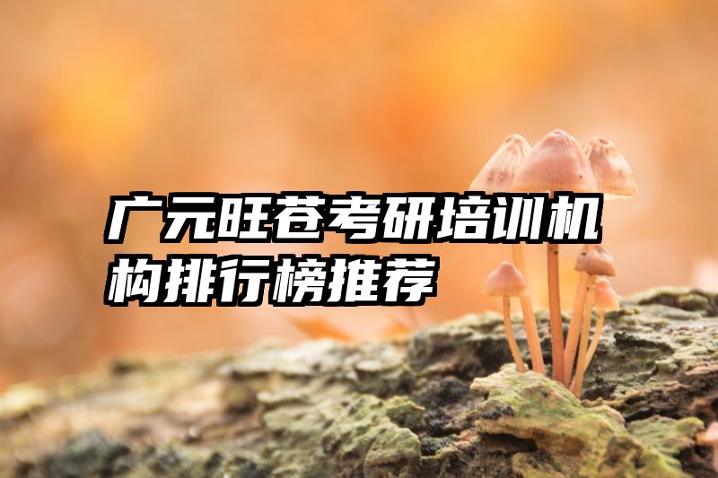 广元旺苍考研培训机构排行榜推荐