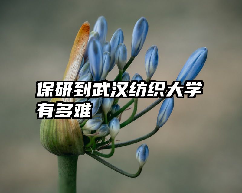 保研到武汉纺织大学有多难