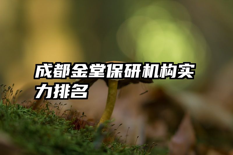 成都金堂保研机构实力排名