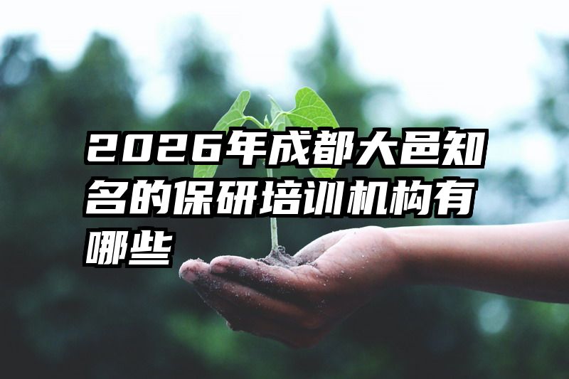 2026年成都大邑知名的保研培训机构有哪些