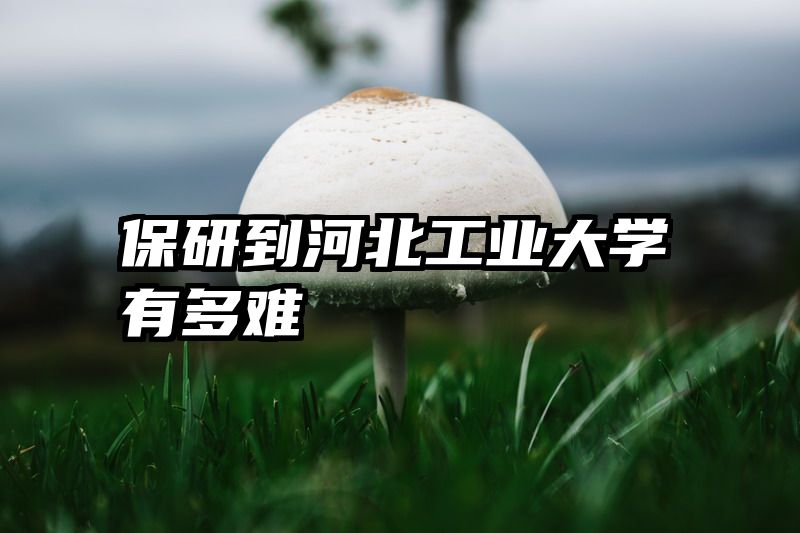 保研到河北工业大学有多难
