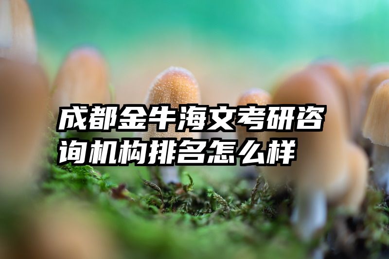 成都金牛海文考研咨询机构排名怎么样
