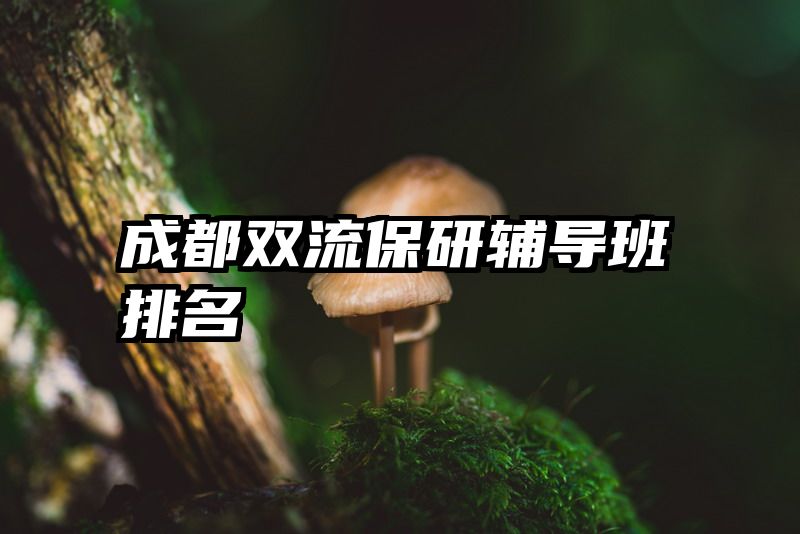 成都双流保研辅导班排名