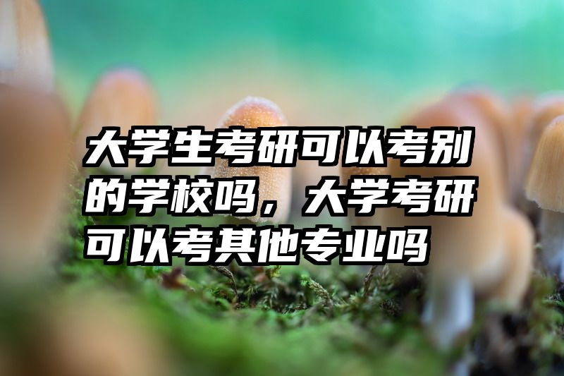 大学生考研可以考别的学校吗，大学考研可以考其他专业吗