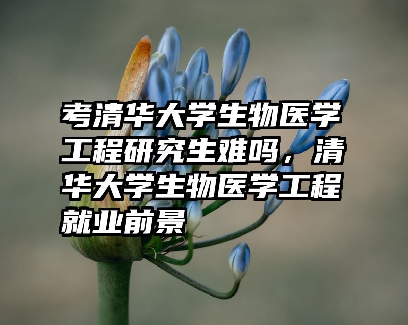 考清华大学生物医学工程研究生难吗，清华大学生物医学工程就业前景