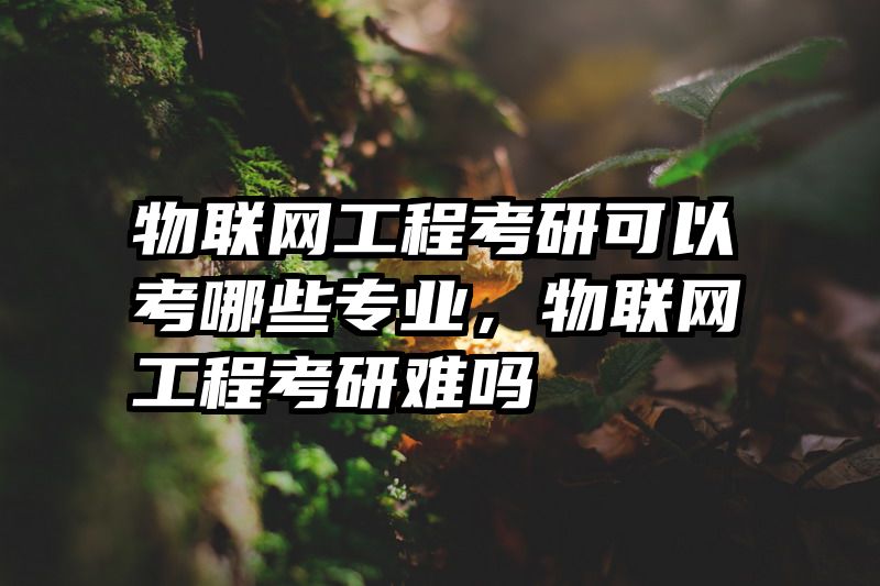 物联网工程考研可以考哪些专业，物联网工程考研难吗