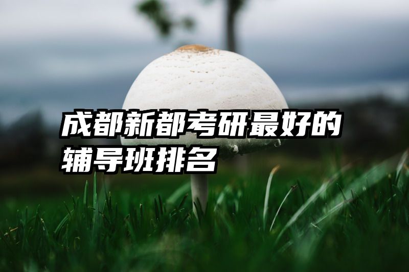 成都新都考研最好的辅导班排名