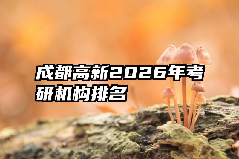 成都高新2026年考研机构排名