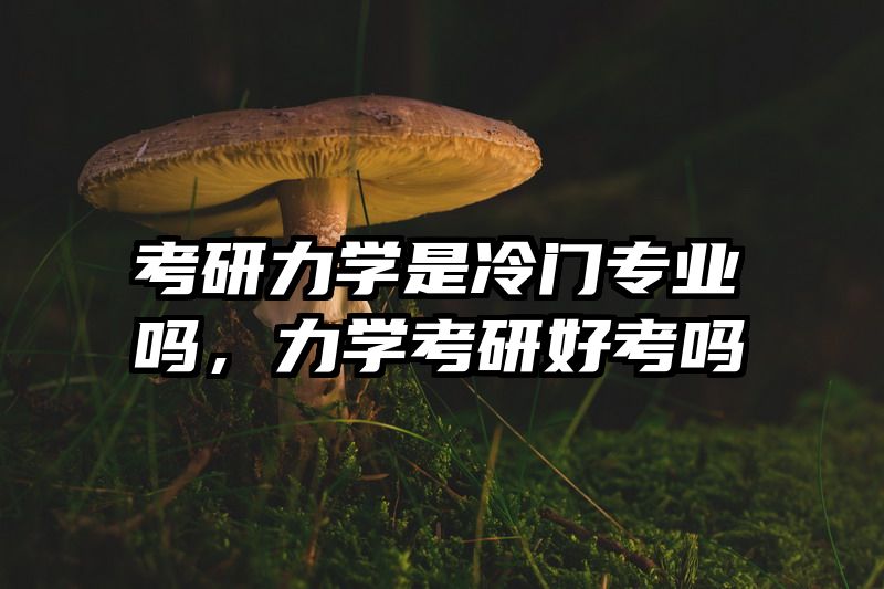 考研力学是冷门专业吗，力学考研好考吗