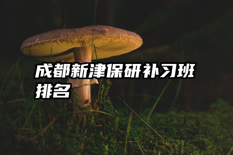 成都新津保研补习班排名