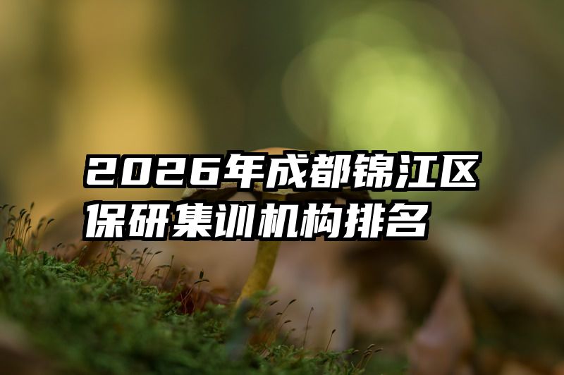 2026年成都锦江区保研集训机构排名