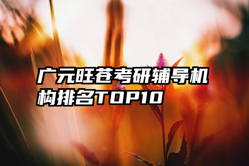 广元旺苍考研辅导机构排名TOP10
