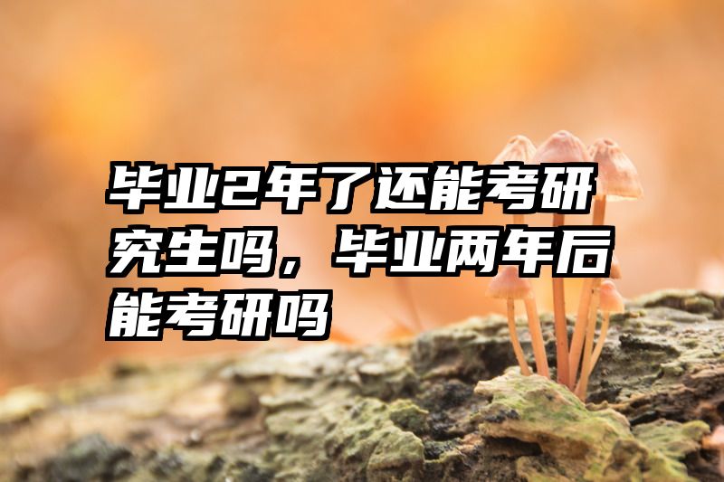 毕业2年了还能考研究生吗,毕业两年后能考研吗