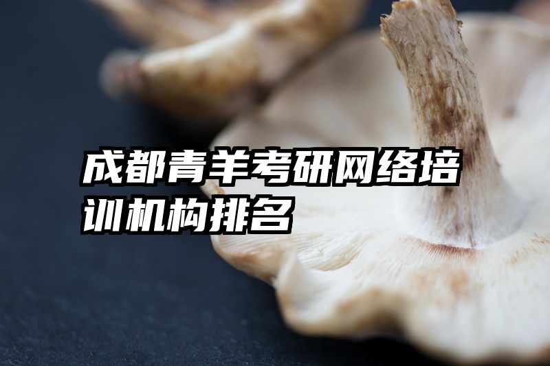 成都青羊考研网络培训机构排名