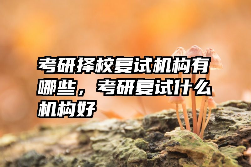 考研择校复试机构有哪些,考研复试什么机构好