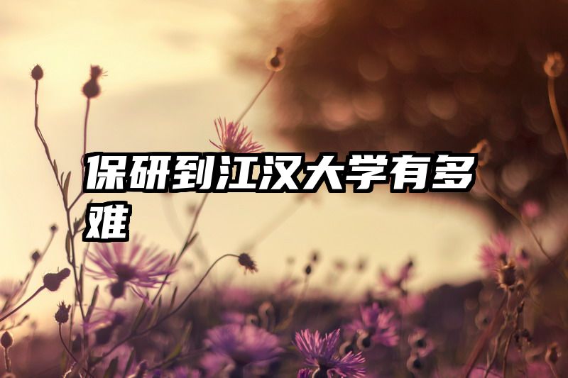 保研到江汉大学有多难