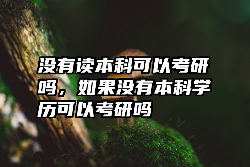 没有读本科可以考研吗,如果没有本科学历可以考研吗