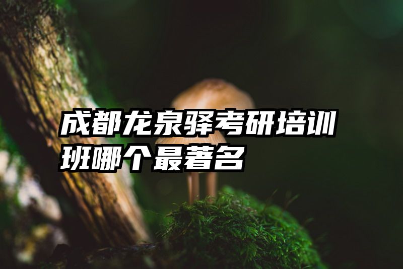 成都龙泉驿考研培训班哪个最著名