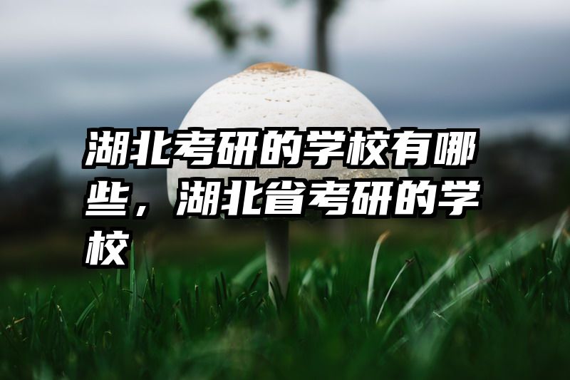 湖北考研的学校有哪些，湖北省考研的学校