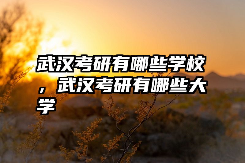 武汉考研有哪些学校，武汉考研有哪些大学