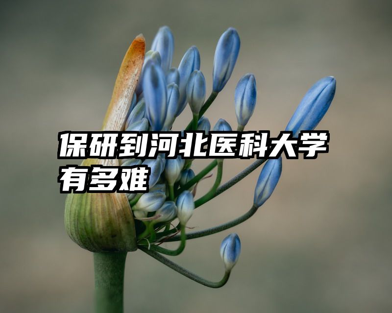 保研到河北医科大学有多难