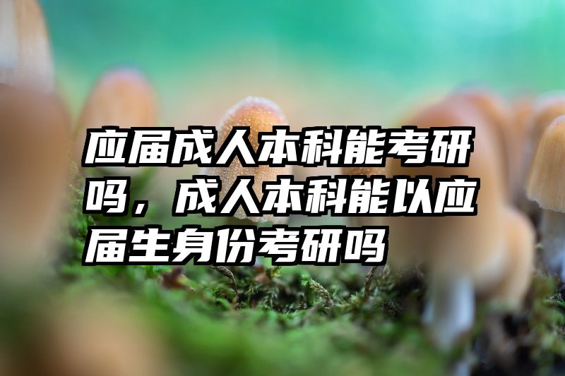 应届成人本科能考研吗，成人本科能以应届生身份考研吗