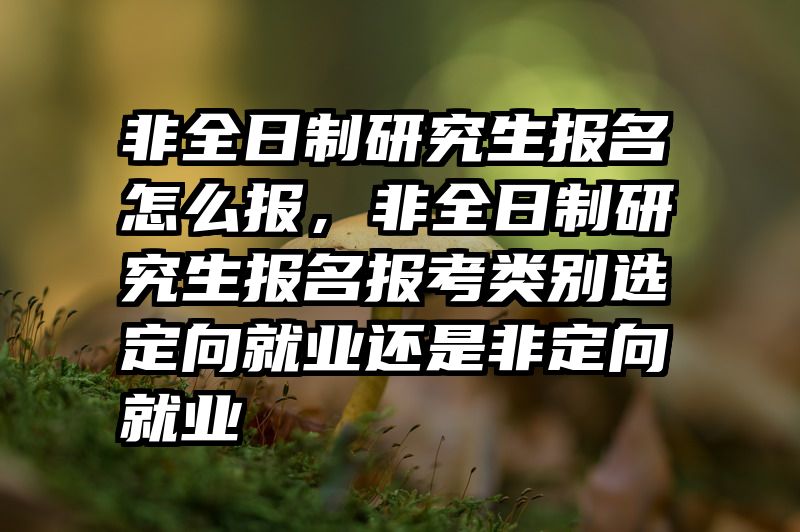非全日制研究生报名怎么报，非全日制研究生报名报考类别选定向就业还是非定向就业