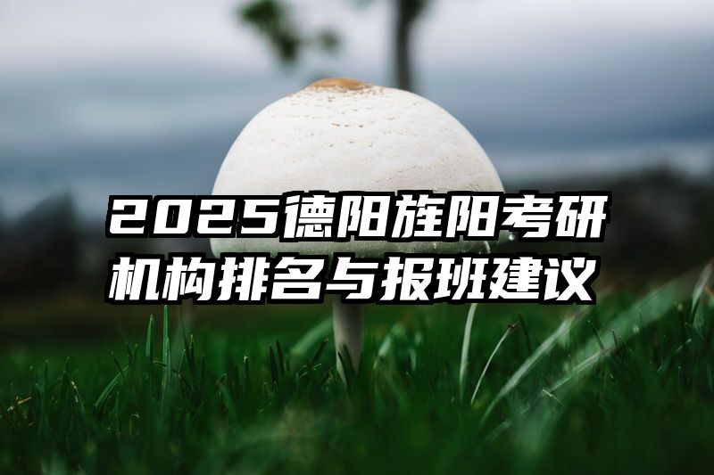 2025德阳旌阳考研机构排名与报班建议