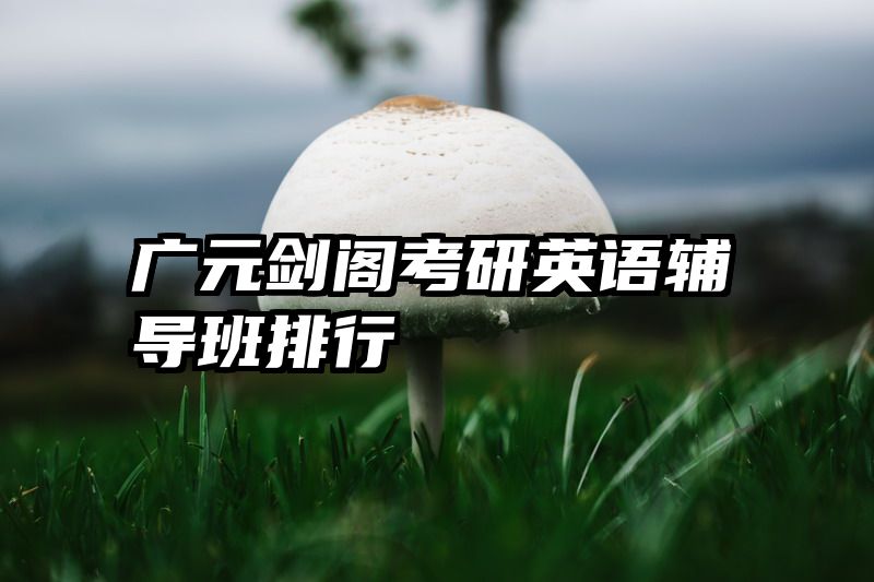 广元剑阁考研英语辅导班排行