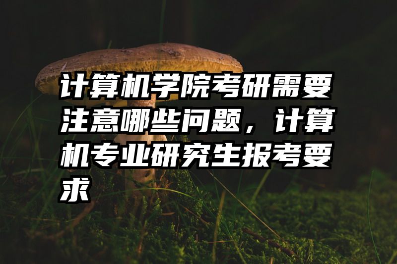 计算机学院考研需要注意哪些问题，计算机专业研究生报考要求