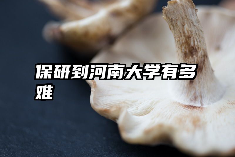 保研到河南大学有多难