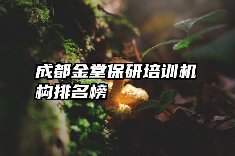 成都金堂保研培训机构排名榜