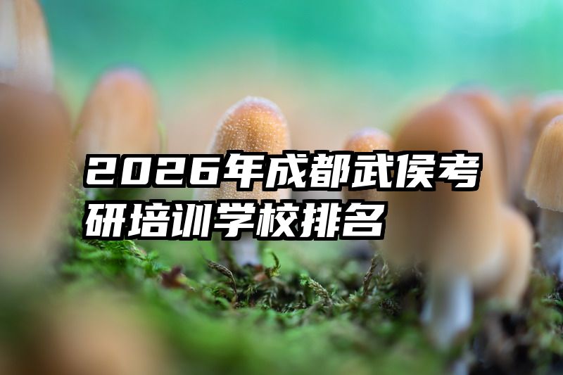 2026年成都武侯考研培训学校排名